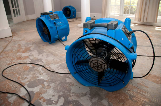Best 24/7 water damage repair  in Logan, UT