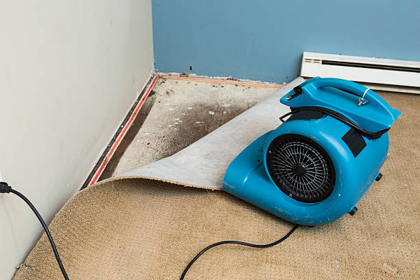 Best Water damage restoration services  in Logan, UT